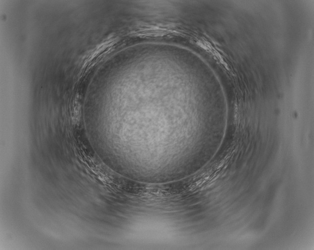 X0000087381350200704271547