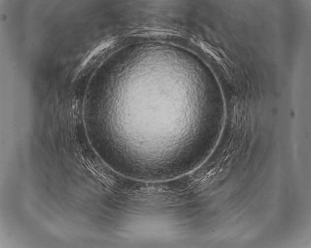 X0000087381351200704271547