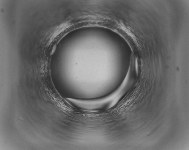 X0000087381352200704271547