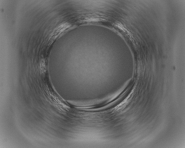 X0000087381353200704271547