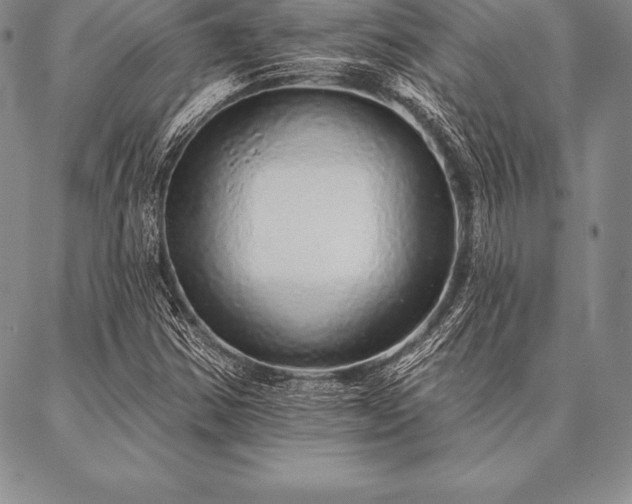 X0000087381354200704271547