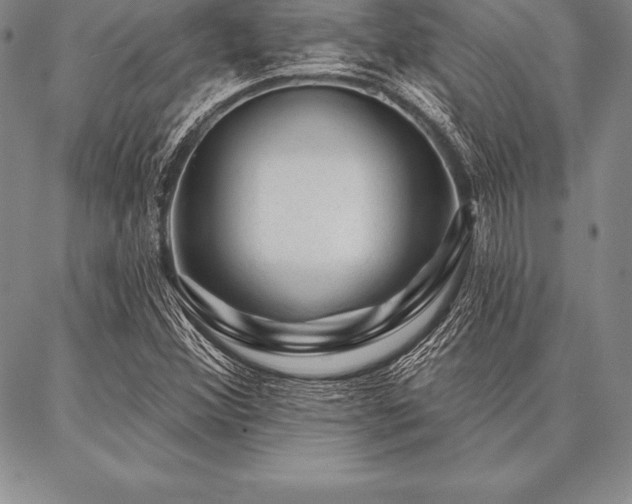 X0000087381356200704271547