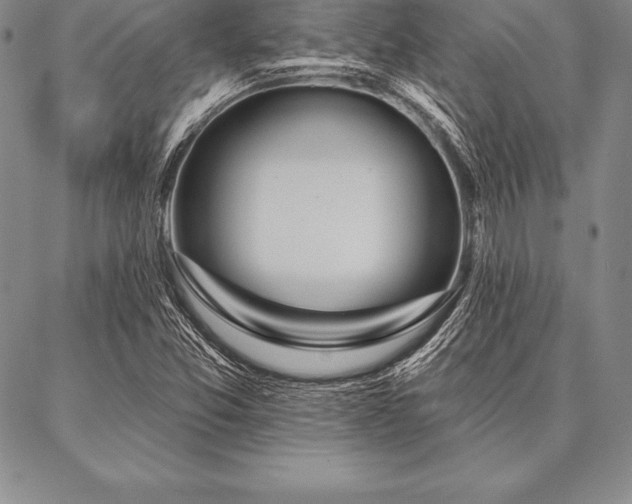 X0000087381357200704271547