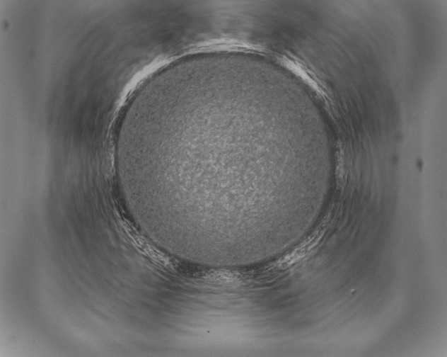 X0000087381358200704271547