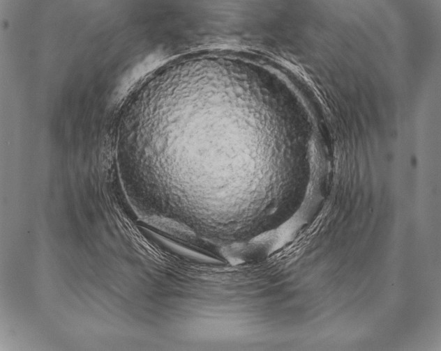 X0000087381359200704271547