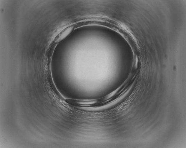 X0000087381360200704271547