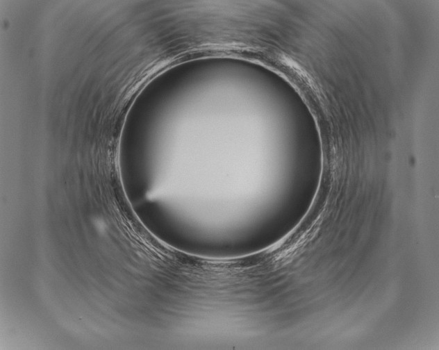 X0000087381361200704271547