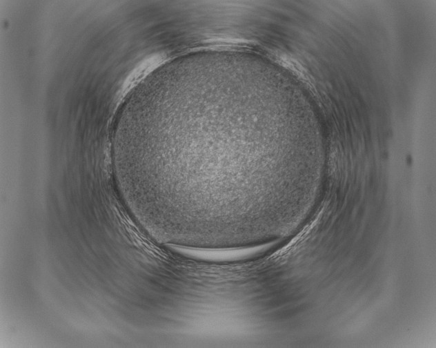 X0000087381362200704271547