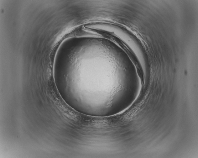 X0000087381363200704271547