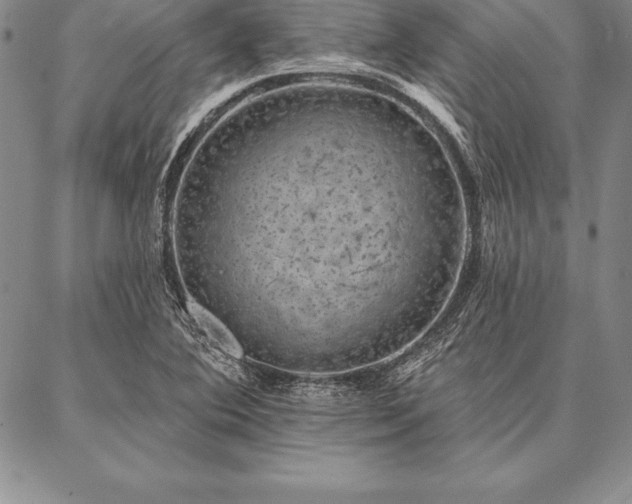 X0000087381364200704271547