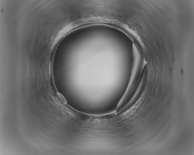 X0000087381365200704271547