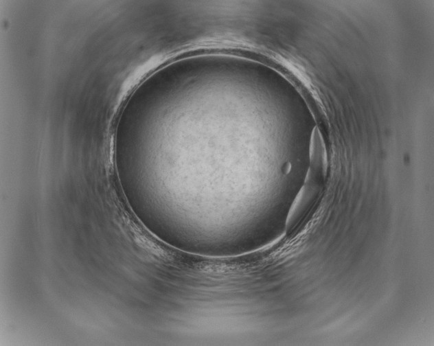 X0000087381366200704271547