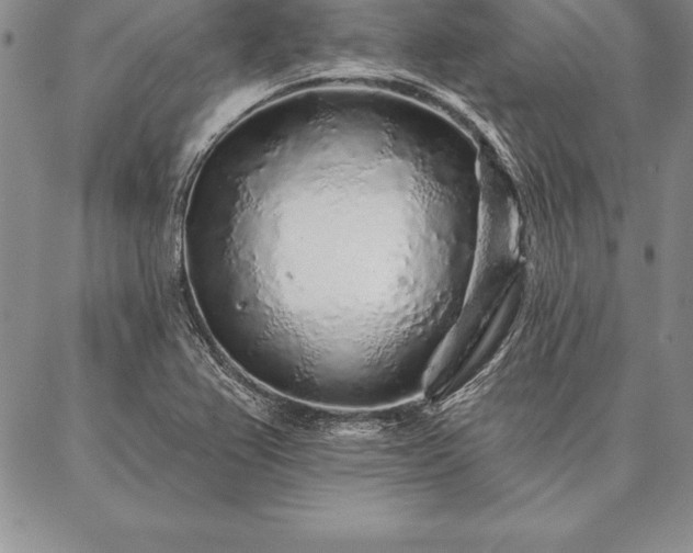 X0000087381367200704271546