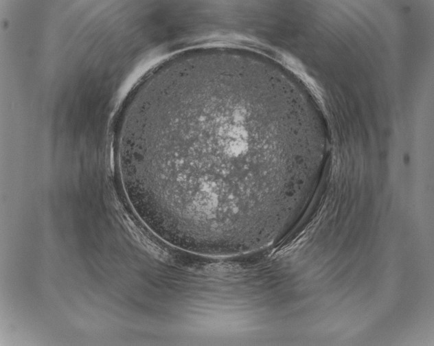 X0000087381368200704271546