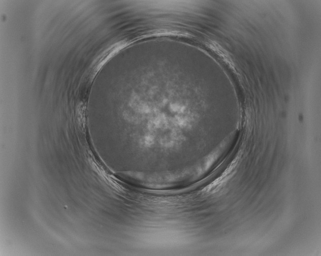 X0000087381369200704271546