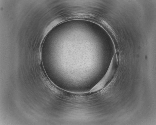 X0000087381370200704271546