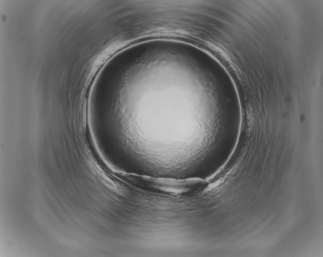 X0000087381371200704271546