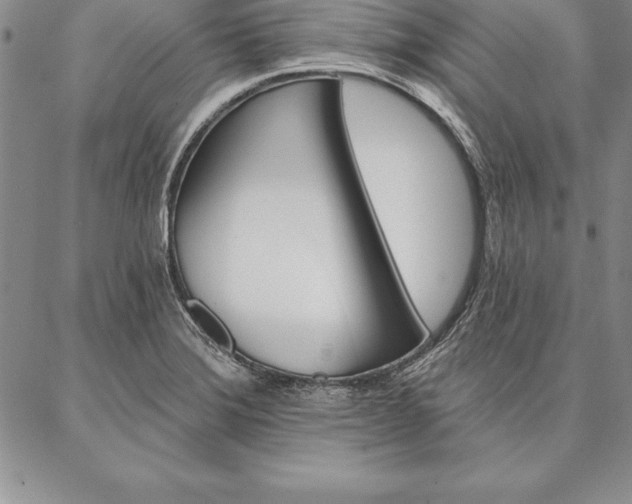 X0000087381372200704271546