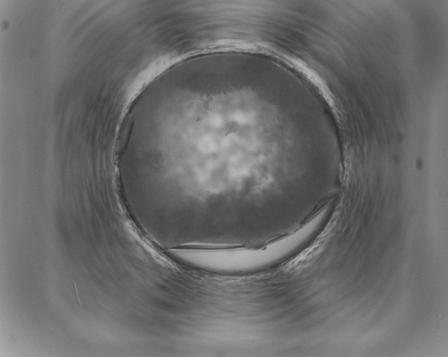 X0000087381373200704271546