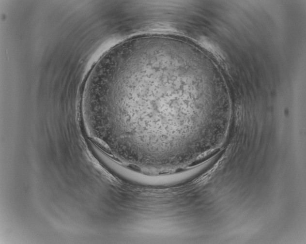 X0000087381374200704271546