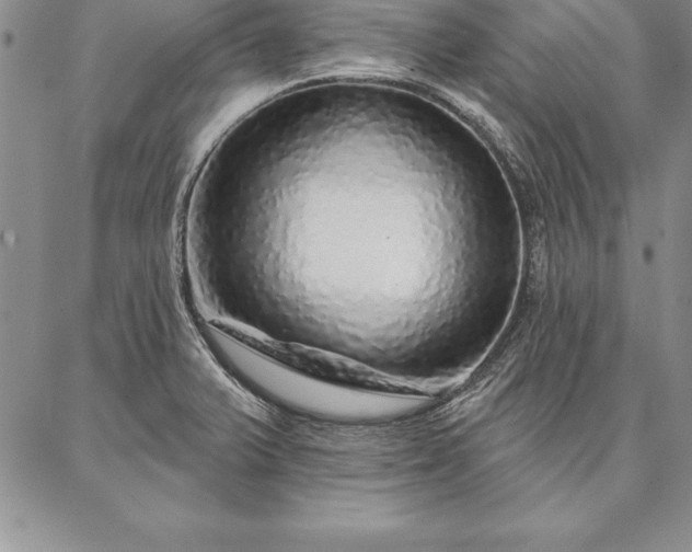 X0000087381375200704271546