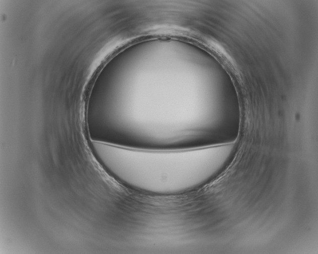 X0000087381376200704271546