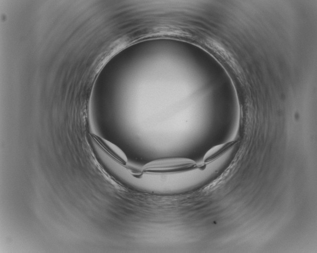 X0000087381377200704271546