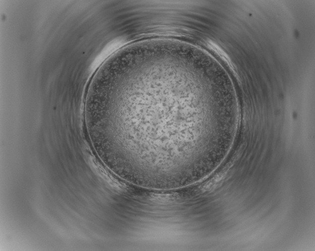 X0000087381378200704271546