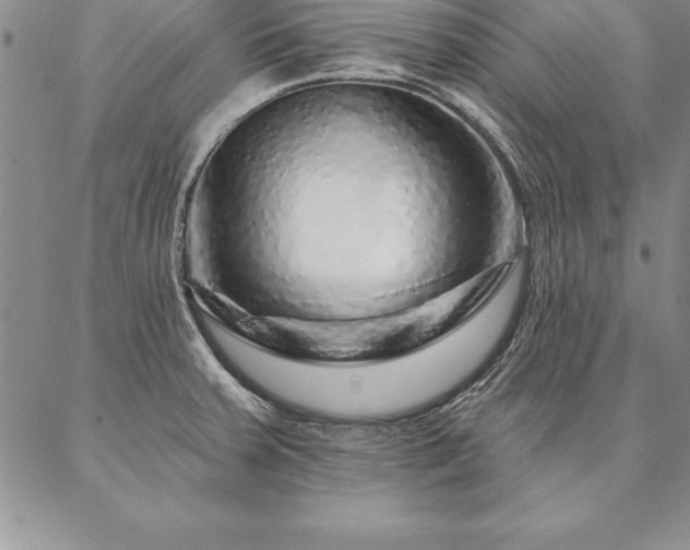 X0000087381379200704271546