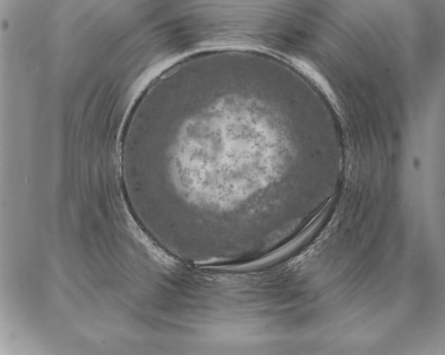 X0000087381380200704271546