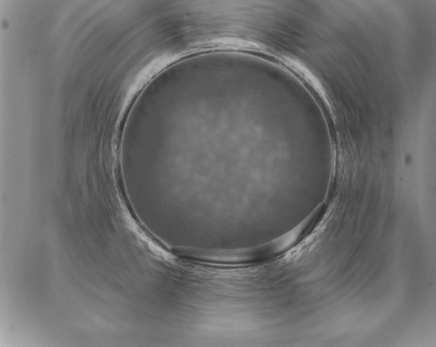 X0000087381381200704271546