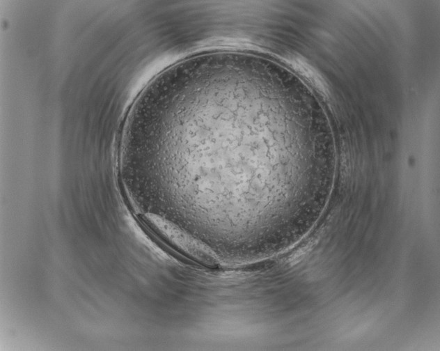 X0000087381382200704271546