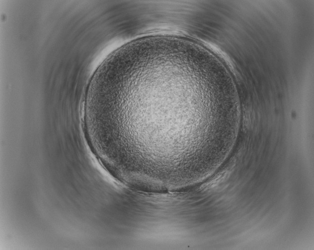 X0000087381383200704271546