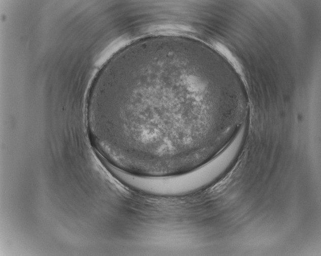 X0000087381384200704271546