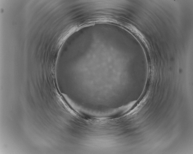 X0000087381385200704271546