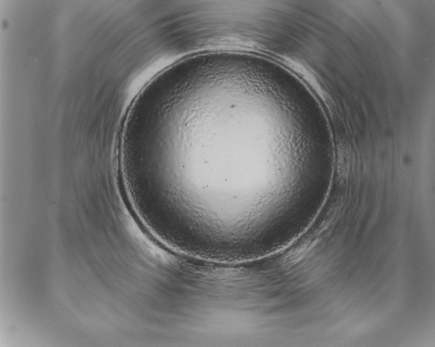 X0000087381387200704271546