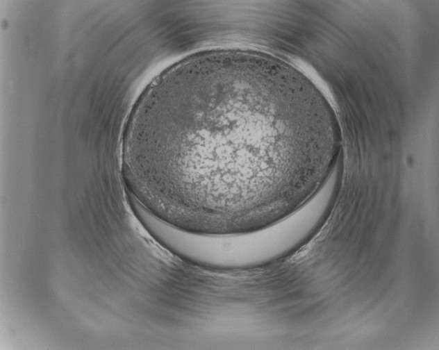 X0000087381388200704271546