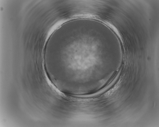 X0000087381389200704271546