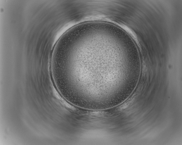 X0000087381390200704271546