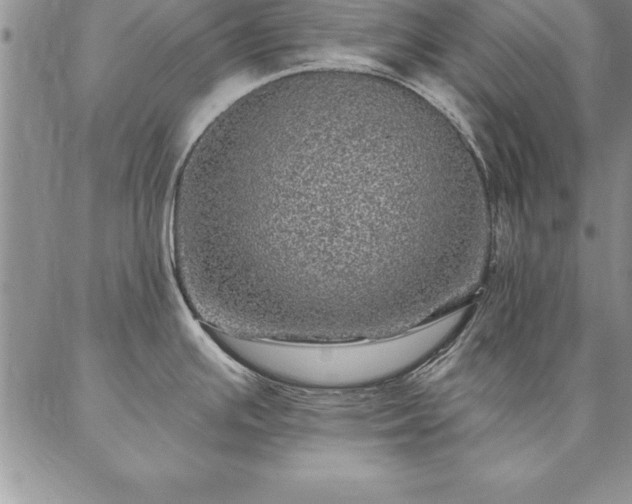 X0000087381391200704271546