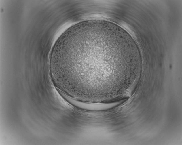 X0000087381392200704271546