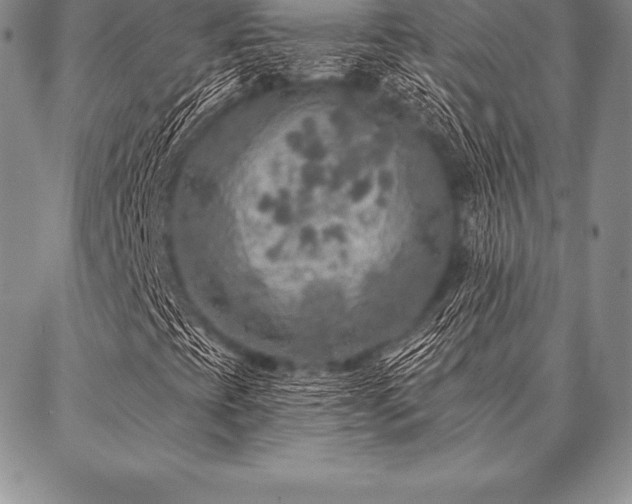 X0000087381393200704271545