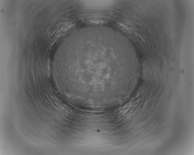 X0000087381394200704271545