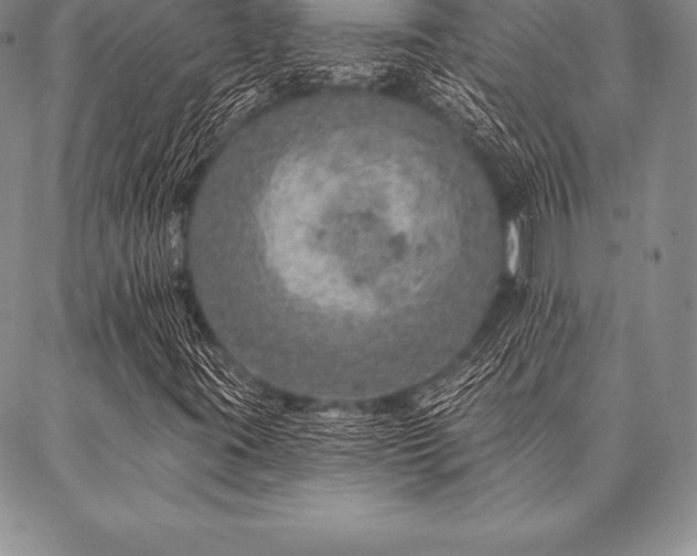 X0000087381395200704271545