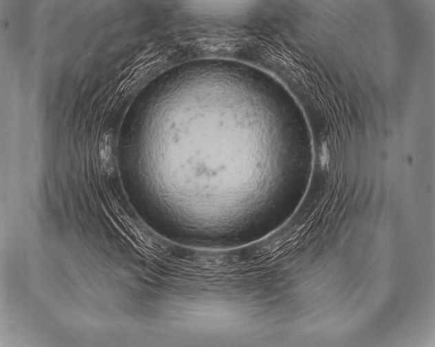 X0000087381396200704271545