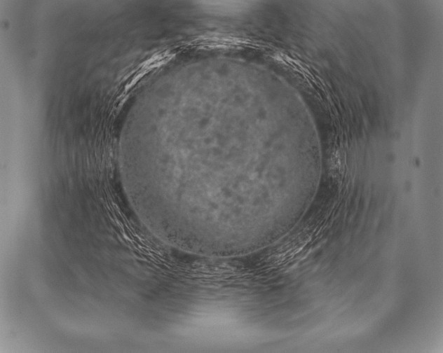 X0000087381397200704271545