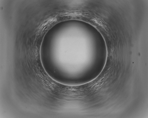 X0000087381398200704271545