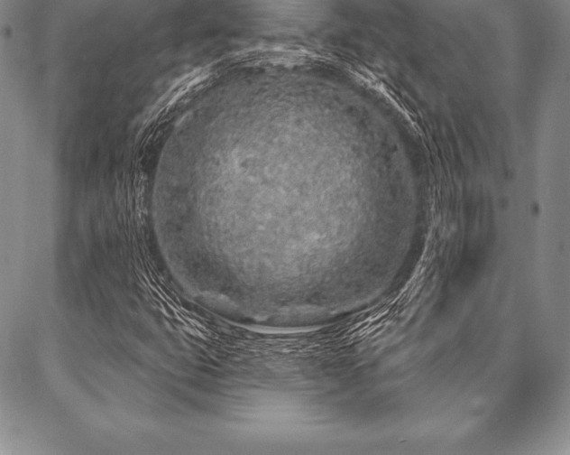 X0000087381399200704271545