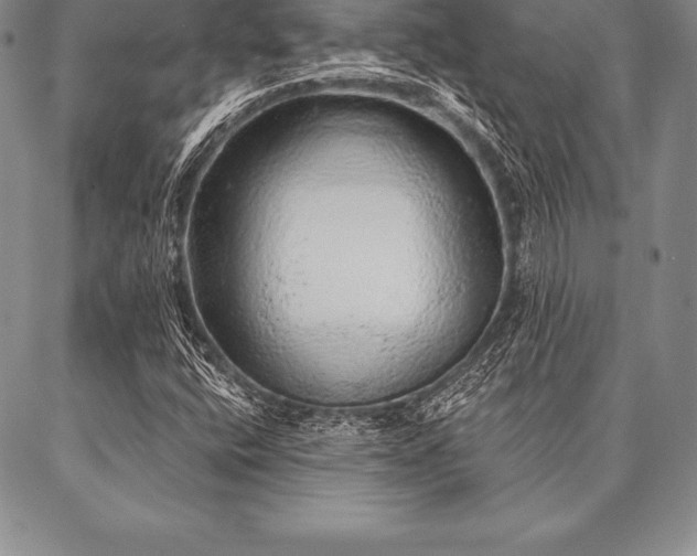 X0000087381400200704271545