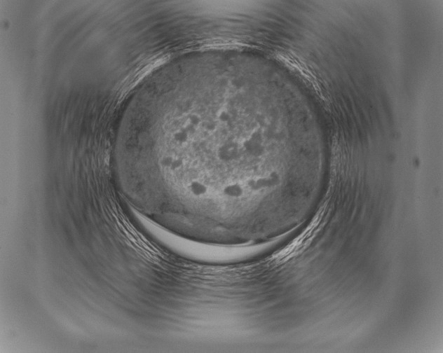 X0000087381401200704271545